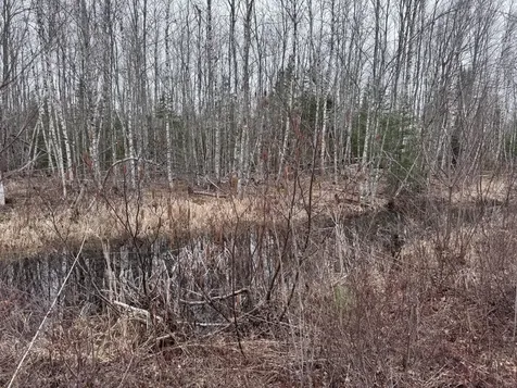 36 Otter Trail Greenbush ME 04418
