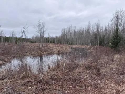 36 Otter Trail Greenbush ME 04418