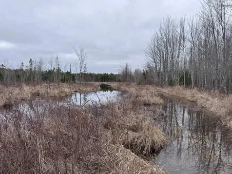 36 Otter Trail Greenbush ME 04418