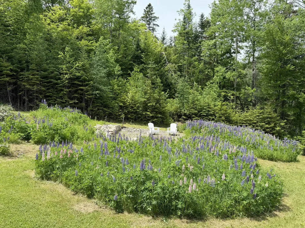 166 Station Road Sherman ME 04776