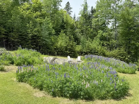166 Station Road Sherman ME 04776
