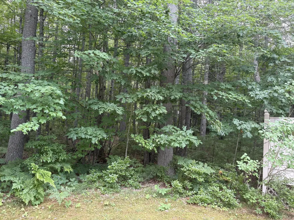 11 Hovey Lane Brunswick ME 04011