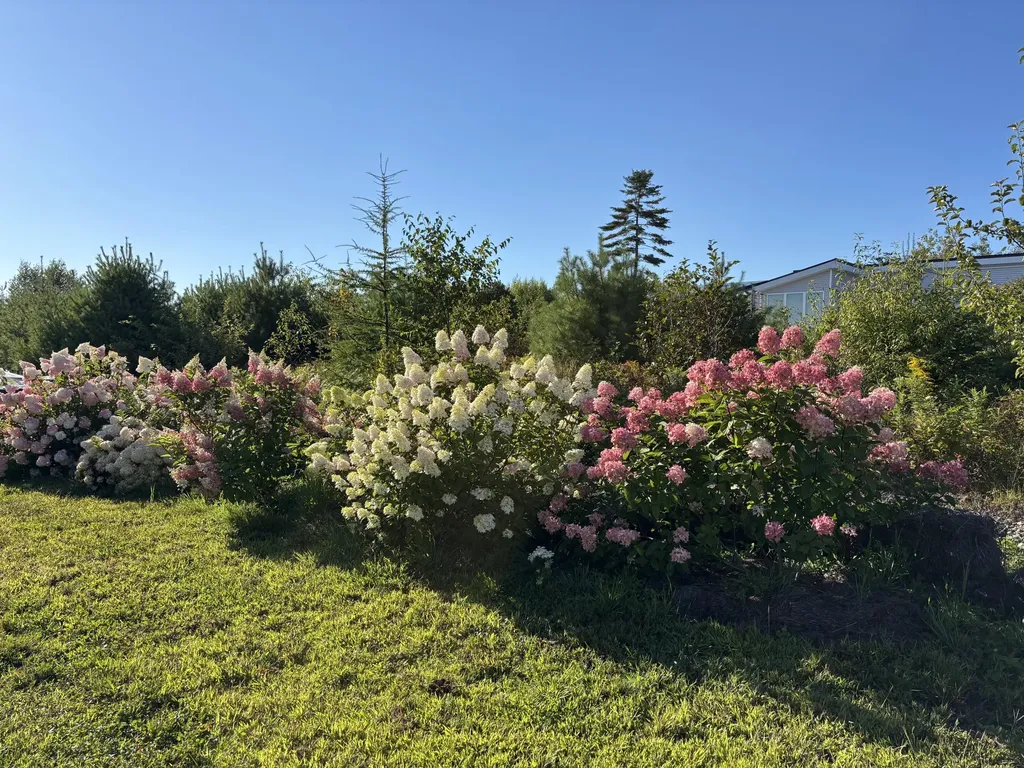 32 Sandy Ridge Lane Searsport ME 04974