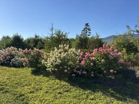 32 Sandy Ridge Lane Searsport ME 04974