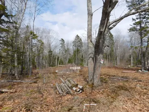 Lot # 0 Beech Hill Road Northport ME 04849