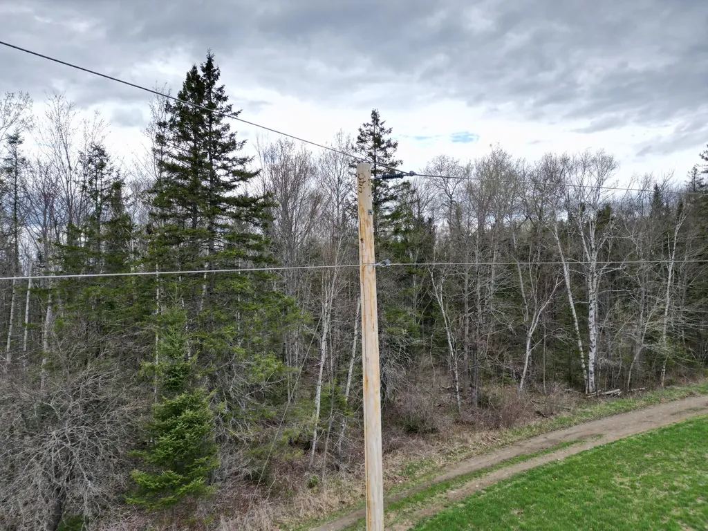 Lot 43b Pine Tree Road Crystal ME 04747