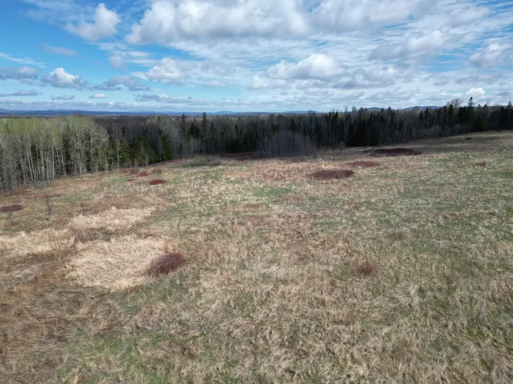 Lot 43b Pine Tree Road Crystal ME 04747