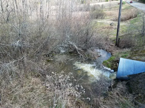 Lot 43b Pine Tree Road Crystal ME 04747