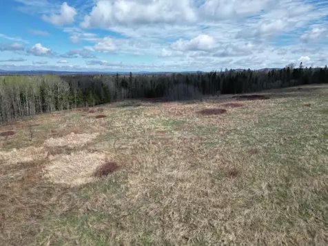 Lot 43b Pine Tree Road Crystal ME 04747