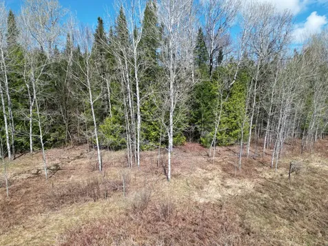 Lot 43b Pine Tree Road Crystal ME 04747