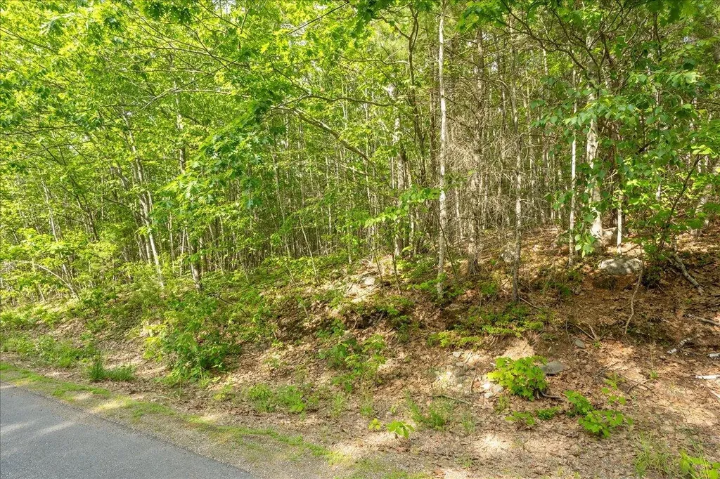 680 & 686 Beech Hill Road Northport ME 04849