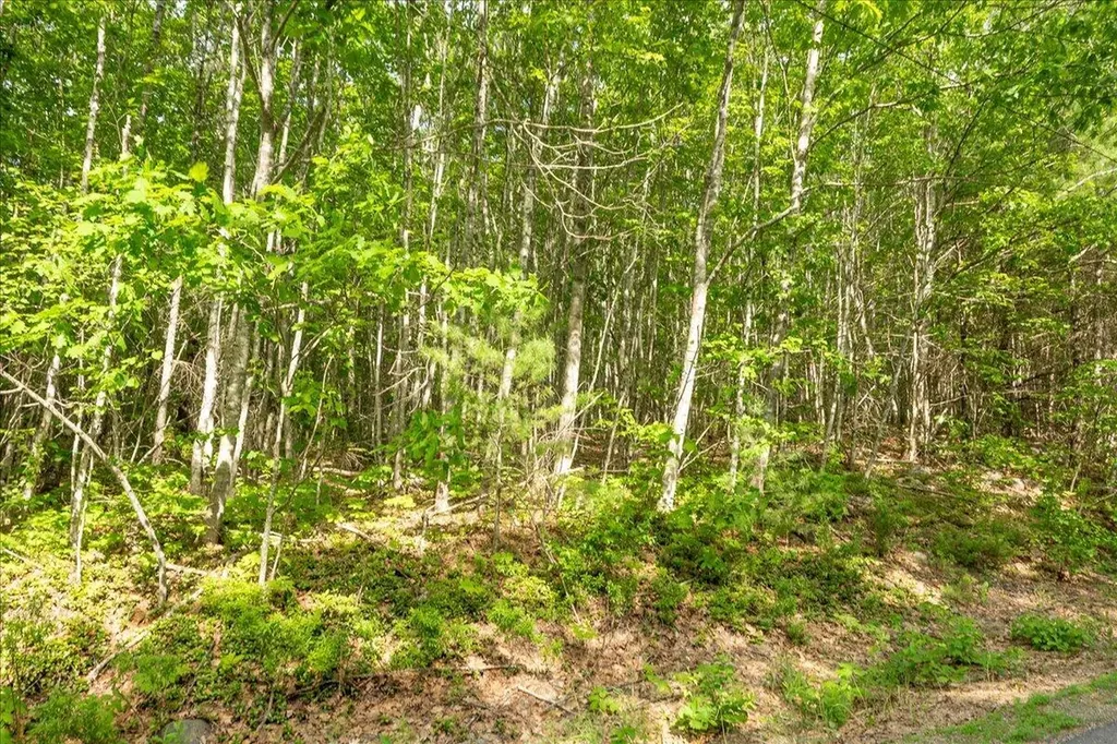 680 & 686 Beech Hill Road Northport ME 04849