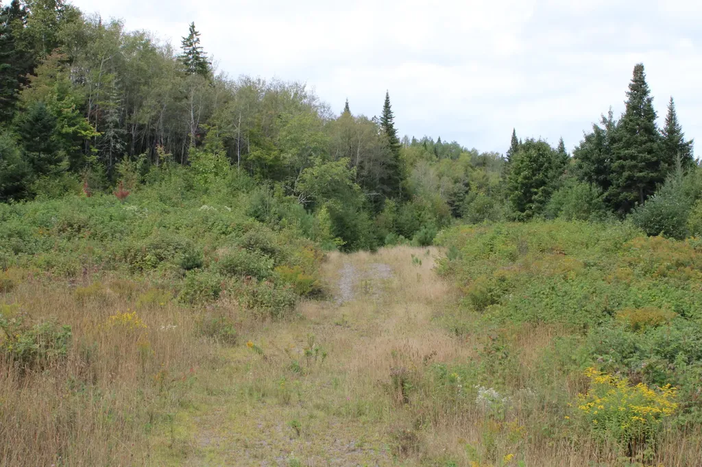 44 Paradis Avenue Frenchville ME 04745