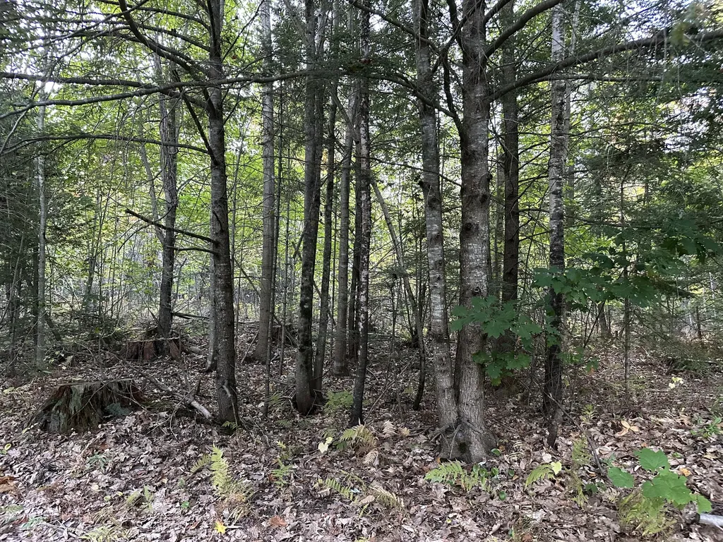 571 Back Road Skowhegan ME 04976