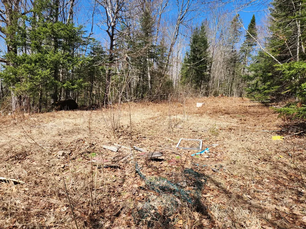 2481 State Road Castle Hill ME 04757