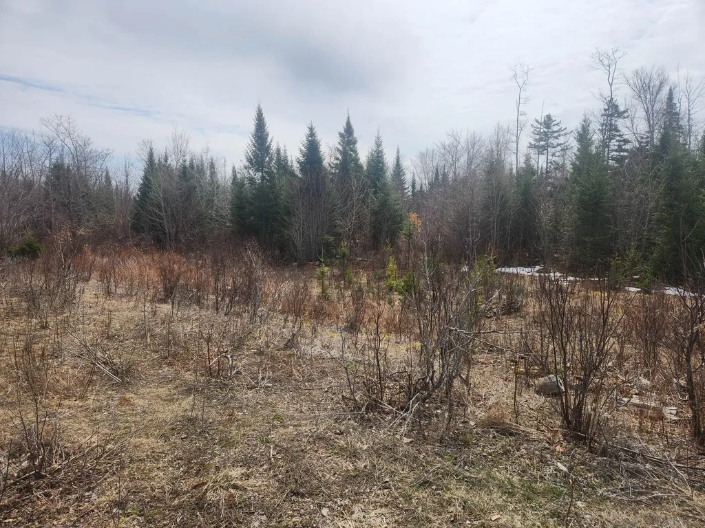 M4L2L2B West Chapman Road Chapman ME 04757