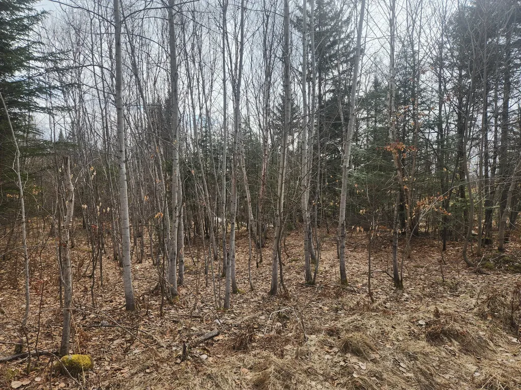 M4L2L2B West Chapman Road Chapman ME 04757