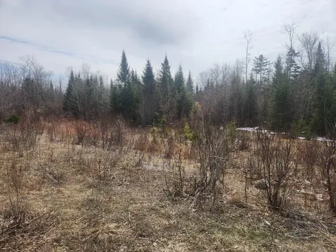 M4L2L2B West Chapman Road Chapman ME 04757