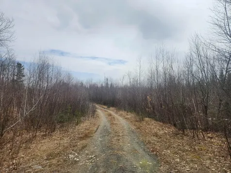 M4L2L2B West Chapman Road Chapman ME 04757