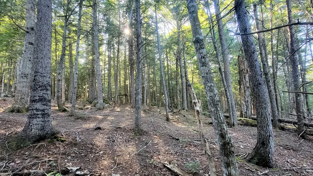 T1R8 Wels Millinocket Lake Millinocket ME 04462