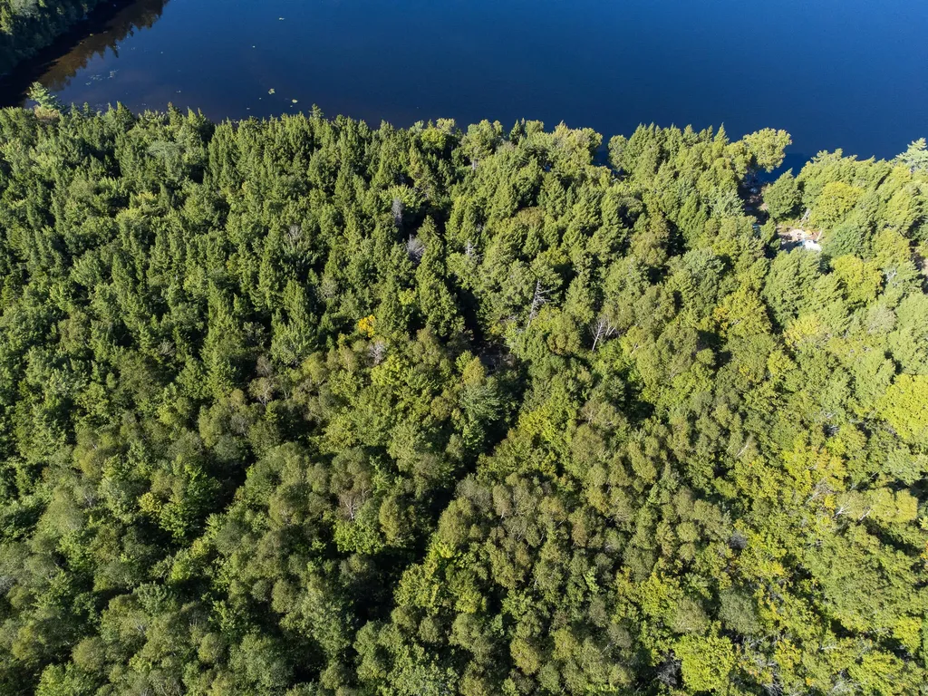 T1R8 Wels Millinocket Lake Millinocket ME 04462