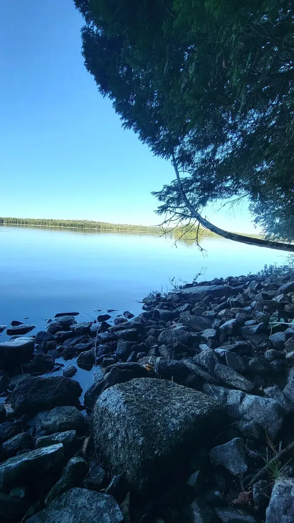 T1R8 Wels Millinocket Lake Millinocket ME 04462