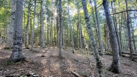 T1R8 Wels Millinocket Lake Millinocket ME 04462