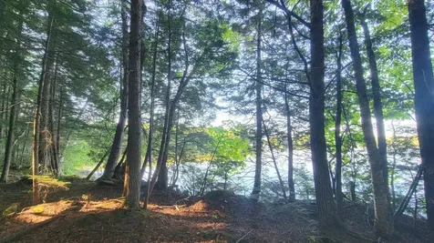 T1R8 Wels Millinocket Lake Millinocket ME 04462