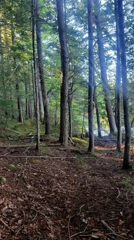 T1R8 Wels Millinocket Lake Millinocket ME 04462