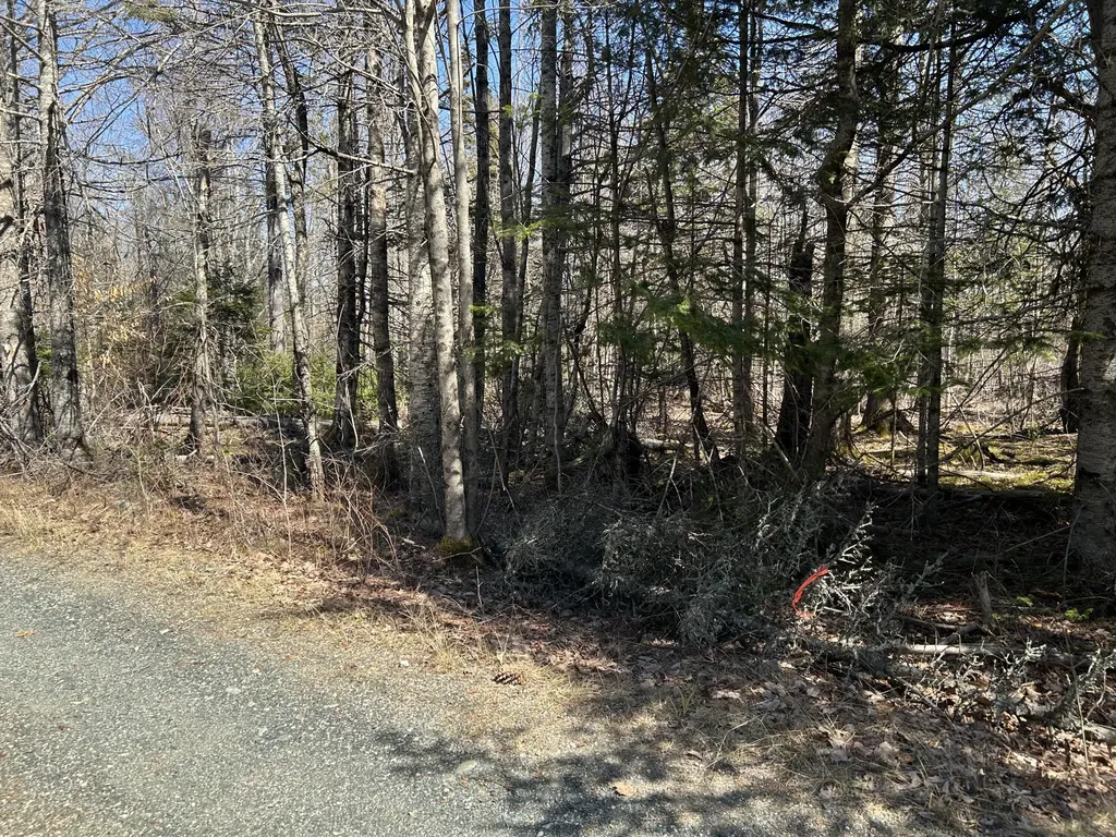 Lot 26a Us Highway 1 Hancock ME 04640