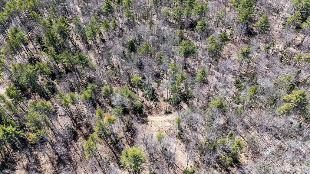 00 Bearce Road Sangerville ME 04479