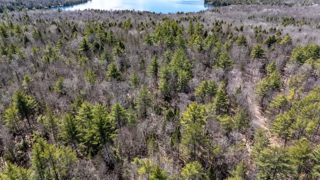 00 Bearce Road Sangerville ME 04479