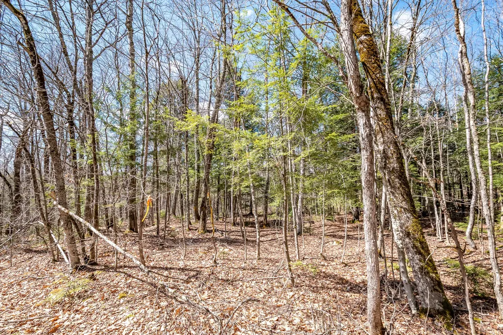 00 Bearce Road Sangerville ME 04479