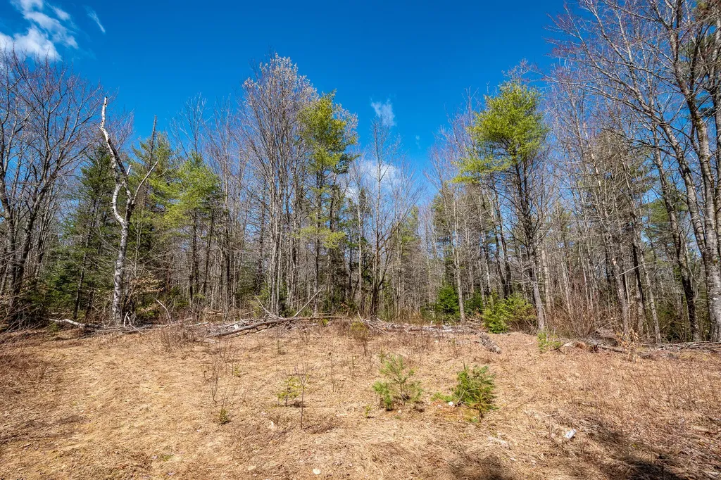 00 Bearce Road Sangerville ME 04479