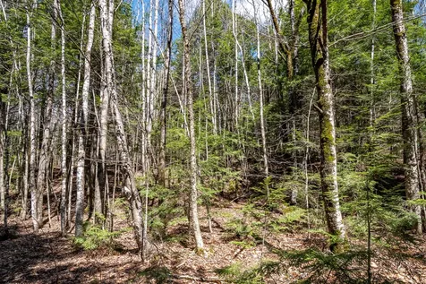00 Bearce Road Sangerville ME 04479