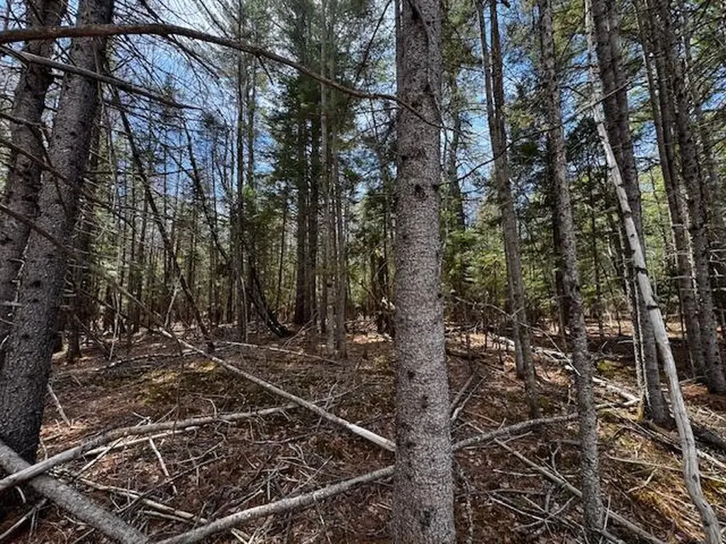 So 001 Plan 2 Lot 16.1 Long Falls Dam Road Lexington Twp ME 04961