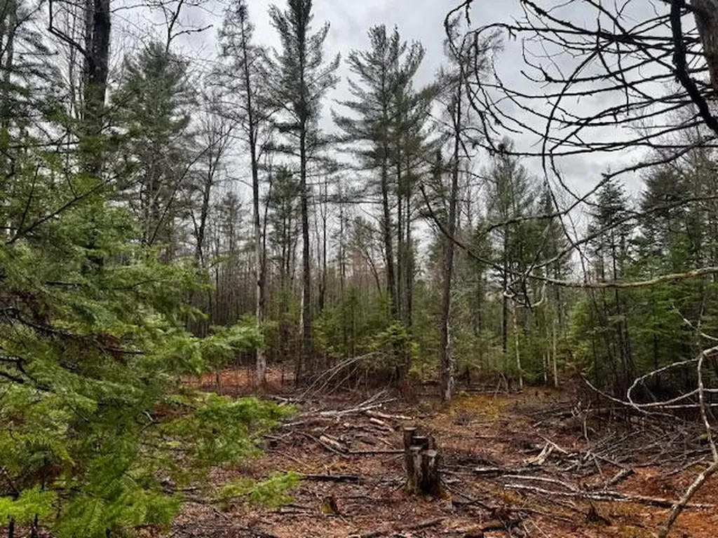 So 001 Plan 2 Lot 16.1 Long Falls Dam Road Lexington Twp ME 04961