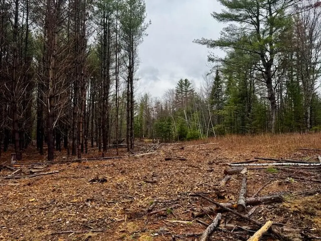 So 001 Plan 2 Lot 16.1 Long Falls Dam Road Lexington Twp ME 04961