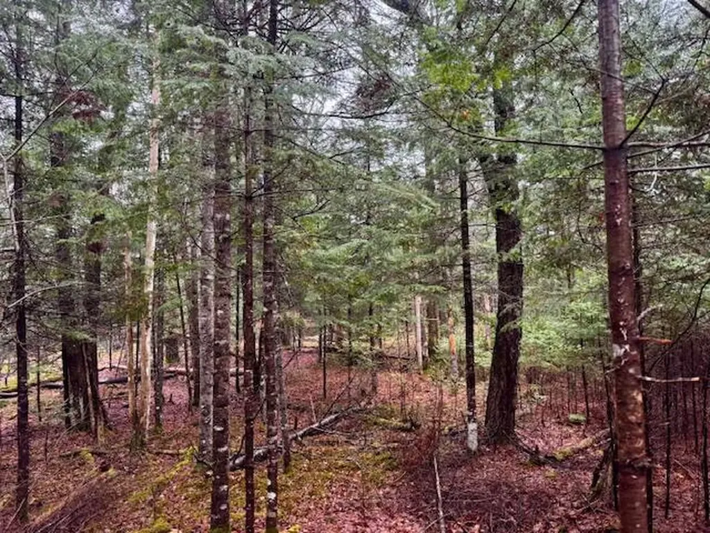 So 001 Plan 2 Lot 16.1 Long Falls Dam Road Lexington Twp ME 04961