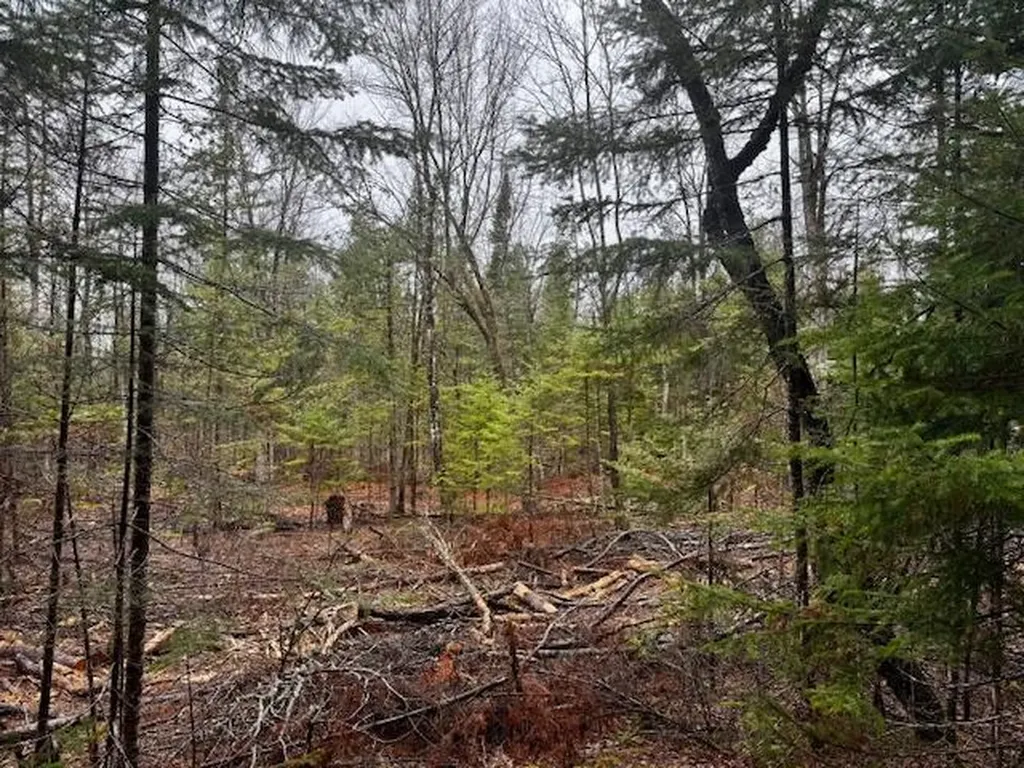 So 001 Plan 2 Lot 16.1 Long Falls Dam Road Lexington Twp ME 04961
