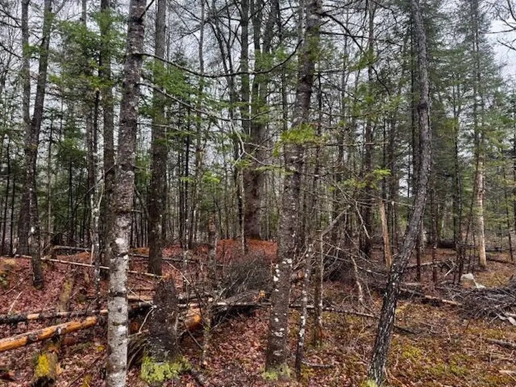 So 001 Plan 2 Lot 16.1 Long Falls Dam Road Lexington Twp ME 04961