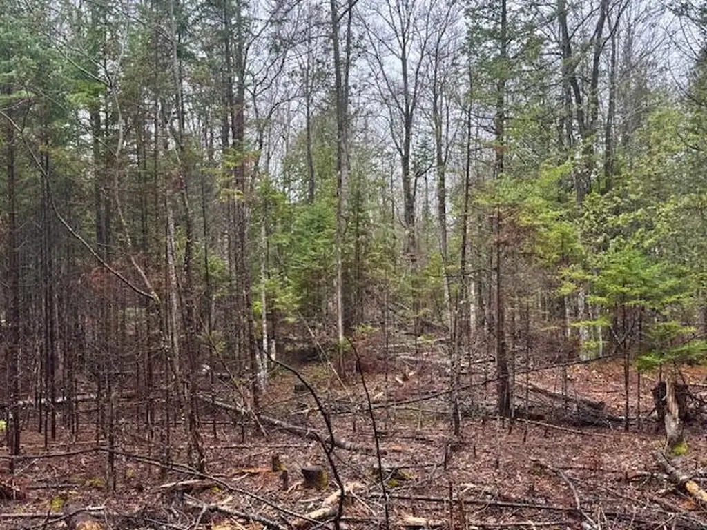 So 001 Plan 2 Lot 16.1 Long Falls Dam Road Lexington Twp ME 04961