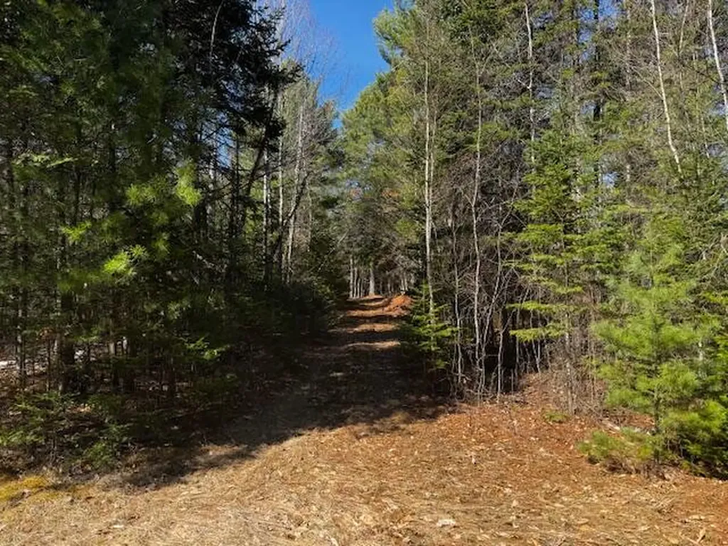 So 001 Plan 2 Lot 16.1 Long Falls Dam Road Lexington Twp ME 04961