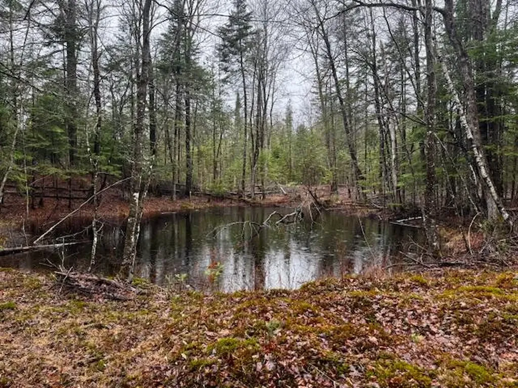 So 001 Plan 2 Lot 16.1 Long Falls Dam Road Lexington Twp ME 04961