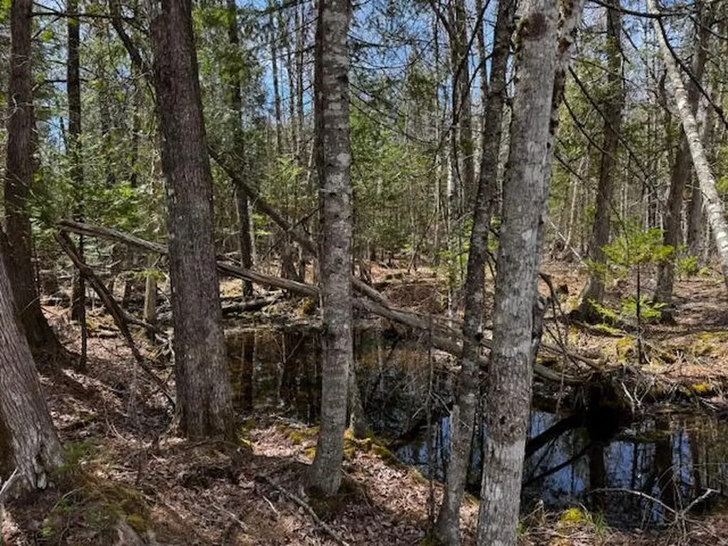 So 001 Plan 2 Lot 16.1 Long Falls Dam Road Lexington Twp ME 04961
