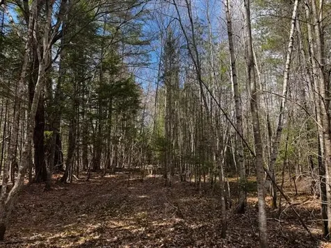 So 001 Plan 2 Lot 16.1 Long Falls Dam Road Lexington Twp ME 04961