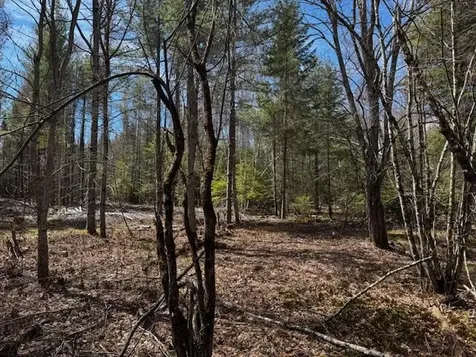 So 001 Plan 2 Lot 16.1 Long Falls Dam Road Lexington Twp ME 04961
