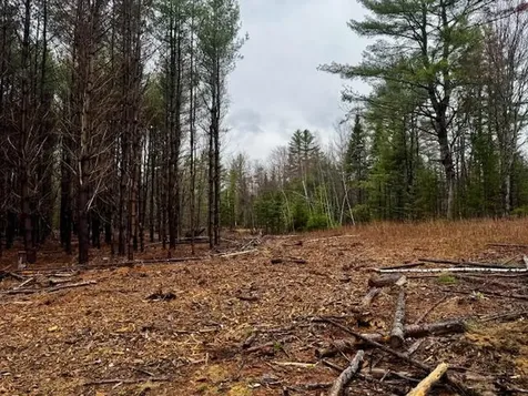 So 001 Plan 2 Lot 16.1 Long Falls Dam Road Lexington Twp ME 04961