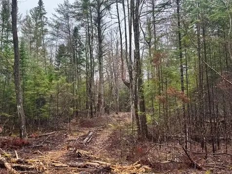 So 001 Plan 2 Lot 16.1 Long Falls Dam Road Lexington Twp ME 04961