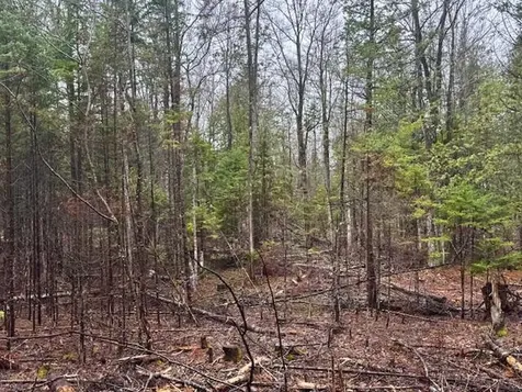 So 001 Plan 2 Lot 16.1 Long Falls Dam Road Lexington Twp ME 04961